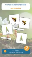 Aperçu - Jeux - Les cartes de nomenclature sur les insectes - Page de couverture