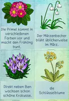 Vorschau - Arbeitsblätter - Schreibspaziergang Frühblüher Kl. 3/4 + Zusatzmaterial - Seite 3