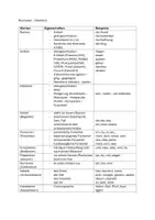Vorschau - Merkblätter - Merkblatt - Überblick aller Wortarten - Deckblatt