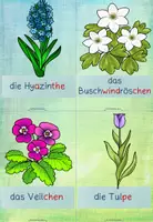 Vorschau - Arbeitsblätter - Schreibspaziergang Klasse 1/2 Wimmelbild Frühblüher - Seite 2