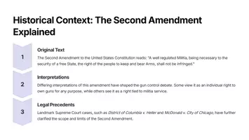 Vorschau - Fördermaterial/Inklusion - Präsentation: Gun Control in the USA – als PDF und PowerPoint-Datei - Seite 3