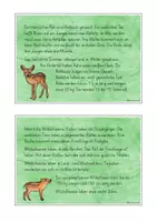 Vorschau - Stationenlernen - Wissenskartei Waldtiere Tiere Wald - Seite 3