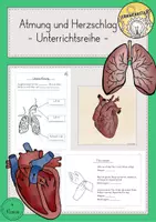 Vorschau - Stundenentwürfe - Atmung Herzschlag Puls Unterrichtsreihe - Deckblatt