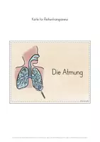 Vorschau - Stundenentwürfe - Atmung Herzschlag Puls Unterrichtsreihe - Seite 2