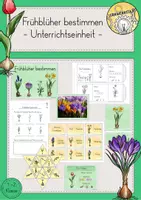 Vorschau - Stundenentwürfe - Frühblüher bestimmen Unterrichtseinheit - Deckblatt