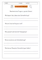 Vorschau - Arbeitsblätter - Leseverständnis 4. Klasse "Der Schmetterling - Vom Ei zur Schönheit" - Seite 1