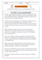 Vorschau - Arbeitsblätter - Leseverständnis 4. Klasse "Der Wolf - Ein kluges Raubtier" - Deckblatt