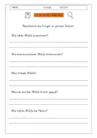 Vorschau - Arbeitsblätter - Leseverständnis 4. Klasse "Der Wolf - Ein kluges Raubtier" - Seite 1