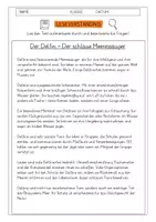 Vorschau - Arbeitsblätter - Leseverständnis 4. Klasse "Der Delfin - Der schlaue Meeressäuger" - Deckblatt