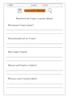 Vorschau - Arbeitsblätter - Leseverständnis 4. Klasse Paket 1 - Seite 1