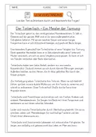 Vorschau - Arbeitsblätter - Leseverständnis 4. Klasse "Der Tintenfisch - Ein Meister der Tarnung" - Deckblatt