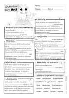 Vorschau - Arbeitsblätter - Wolf - Arbeitsblatt mit Lückentext - Seite 2