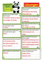 Vorschau - Arbeitsblätter - Großer Panda - Arbeitsblatt mit Fragebogen - Seite 3