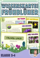 Vorschau - Arbeitsblätter - Megapaket Frühblüher - Seite 1