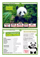Vorschau - Stationenlernen - Großer Panda - Wissenskartei mit 18 Wissenskarten: Körperbau, Nahrung, Lebensraum, Verhalten, Feinde - Seite 1
