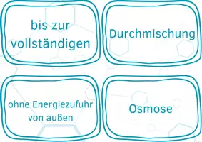 Vorschau - Spiele - Puzzle Satz Diffusion und Osmose - Seite 2