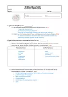 Vorschau - Arbeitsblätter - Klassenarbeit zum Thema Tourismus und Wirtschaft in Jg. 5/6 - Seite 2
