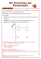 Vorschau - Arbeitsblätter - Vererbung der Blutgruppen | Unterrichtsreihe "Genetik", Biologie Klasse 9./10. - Seite 3