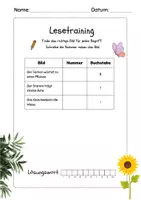 Vorschau - Arbeitsblätter - Pflanzen und Bäume Leseübung Grundschule Lesen DaZ Leseförderung - Seite 3