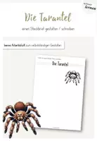 Vorschau - Arbeitsblätter - Die Tarantel - Steckbrief eigenständig erstellen - Deckblatt