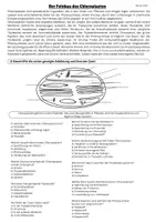 Vorschau - Arbeitsblätter - Bau des Chloroplasten mit Domino (Kl. 11) - Deckblatt
