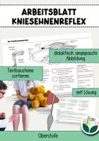 Vorschau - Arbeitsblätter - Arbeitsblatt Kniesehnenreflex Patellarsehnenreflex Reflex Neurobiologie - Deckblatt