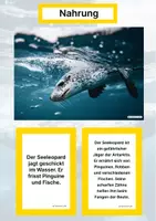 Vorschau - Stationenlernen - Tiere aus Antarktis (Montessori Lernkarten) – Spielerisch entdecken & verstehen - Seite 1