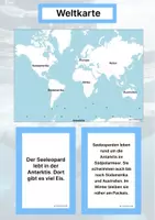 Vorschau - Stationenlernen - Tiere aus Antarktis (Montessori Lernkarten) – Spielerisch entdecken & verstehen - Seite 2