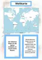 Vorschau - Arbeitsblätter - Der Wanderalbatros – Steckbrief inklusive – Tiere der Antarktis – Montessori Lernkarten (Kontinente entdecken) - Seite 2