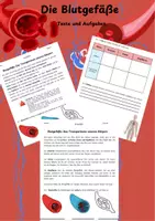 Vorschau - Arbeitsblätter - Blutgefäße -Aufbau der Venen, Arterien und Kapillare - Deckblatt
