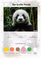 Vorschau - Arbeitsblätter - Der Große Panda – Steckbrief inklusive – Tiere Asiens – Montessori Lernkarten (Kontinente entdecken) - Deckblatt