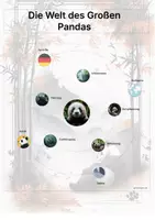 Vorschau - Arbeitsblätter - Der Große Panda – Steckbrief inklusive – Tiere Asiens – Montessori Lernkarten (Kontinente entdecken) - Seite 3