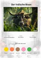 Vorschau - Stationenlernen - Der Indische Bison – Steckbrief inklusive – Tiere Asiens – Montessori Lernkarten (Kontinente entdecken) - Deckblatt