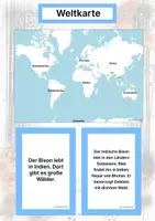 Vorschau - Stationenlernen - Der Indische Bison – Steckbrief inklusive – Tiere Asiens – Montessori Lernkarten (Kontinente entdecken) - Seite 2