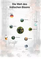 Vorschau - Stationenlernen - Der Indische Bison – Steckbrief inklusive – Tiere Asiens – Montessori Lernkarten (Kontinente entdecken) - Seite 3