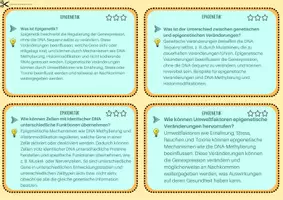 Vorschau - Merkblätter - Epigenetik (Regulation der Genaktivität) - Lernkartei - Seite 3