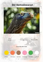 Vorschau - Stationenlernen - Der Komodowaran – Steckbrief inklusive – Tiere Asiens – Montessori Lernkarten (Kontinente entdecken) - Deckblatt