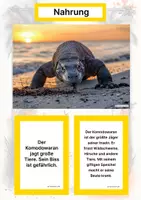 Vorschau - Stationenlernen - Der Komodowaran – Steckbrief inklusive – Tiere Asiens – Montessori Lernkarten (Kontinente entdecken) - Seite 1
