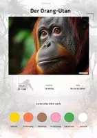 Vorschau - Stationenlernen - Der Orang-Utan – Steckbrief inklusive – Tiere Asiens – Montessori Lernkarten (Kontinente entdecken) - Deckblatt
