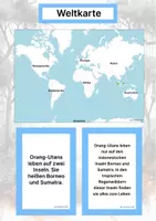 Vorschau - Stationenlernen - Der Orang-Utan – Steckbrief inklusive – Tiere Asiens – Montessori Lernkarten (Kontinente entdecken) - Seite 2