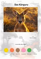 Vorschau - Arbeitsblätter - Das Känguru – Steckbrief inklusive – Tiere Australiens – Montessori Lernkarten (Kontinente entdecken) - Deckblatt