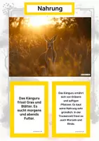 Vorschau - Arbeitsblätter - Das Känguru – Steckbrief inklusive – Tiere Australiens – Montessori Lernkarten (Kontinente entdecken) - Seite 1