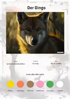 Vorschau - Stationenlernen - Der Dingo – Steckbrief inklusive – Tiere Australiens – Montessori Lernkarten (Kontinente entdecken) - Deckblatt
