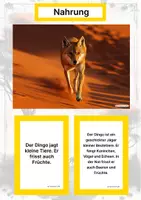 Vorschau - Stationenlernen - Der Dingo – Steckbrief inklusive – Tiere Australiens – Montessori Lernkarten (Kontinente entdecken) - Seite 1