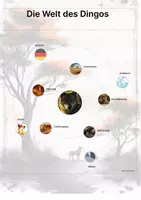 Vorschau - Stationenlernen - Der Dingo – Steckbrief inklusive – Tiere Australiens – Montessori Lernkarten (Kontinente entdecken) - Seite 3