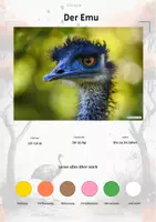 Vorschau - Arbeitsblätter - Der Emu – Steckbrief inklusive – Tiere Australiens – Montessori Lernkarten (Kontinente entdecken) - Deckblatt