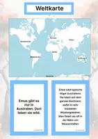 Vorschau - Arbeitsblätter - Der Emu – Steckbrief inklusive – Tiere Australiens – Montessori Lernkarten (Kontinente entdecken) - Seite 2
