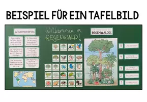 Vorschau - Poster - Regenwald – Stockwerke des tropischen Regenwaldes | Tafelmaterial und Bildkarten 4.–5. Klasse - Seite 1