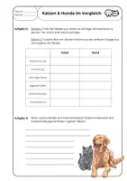 Vorschau - Arbeitsblätter - Heimtiere: Hund und Katze - der Vergleich - Seite 2
