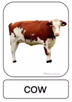 Vorschau - Präsentationen/Tafelbilder - Tafelkarten: Tiere auf dem Bauernhof - Seite 3